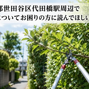 ChatGPT Image 2026年6月24日 13_18_36