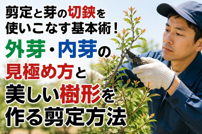 ChatGPT Image 2026年7月24日 10_14_04
