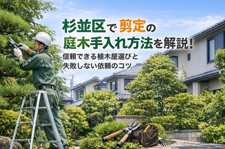 24 Re_杉並　剪定